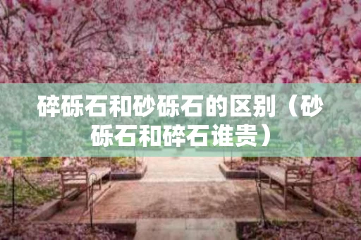 碎砾石和砂砾石的区别（砂砾石和碎石谁贵）