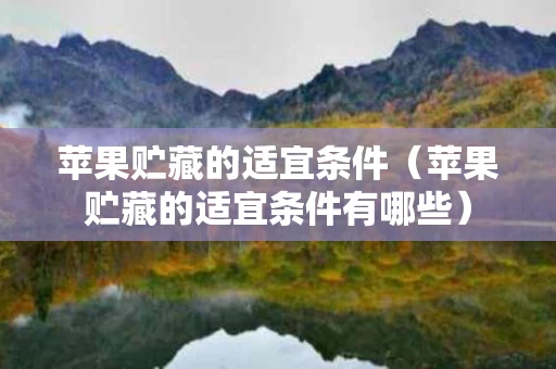苹果贮藏的适宜条件（苹果贮藏的适宜条件有哪些）