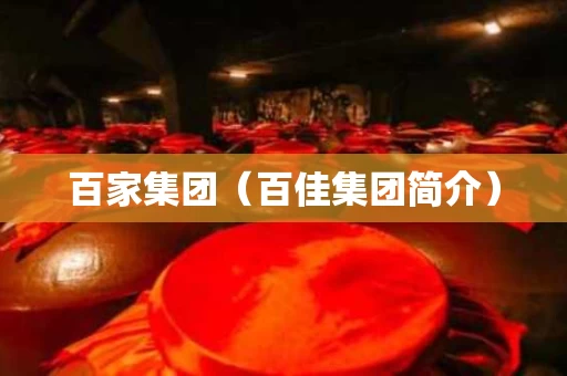 百家集团（百佳集团简介）