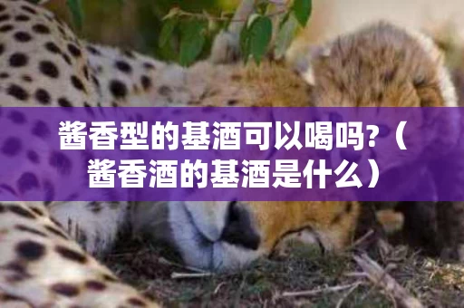 酱香型的基酒可以喝吗?（酱香酒的基酒是什么）