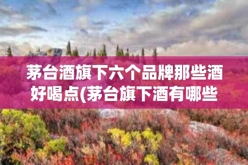 茅台酒旗下六个品牌那些酒好喝点(茅台旗下酒有哪些品牌性价比高)