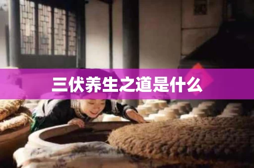 三伏养生之道是什么