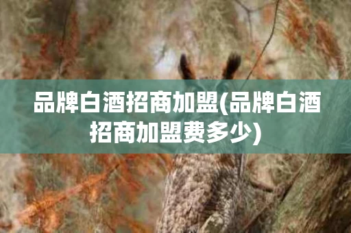 品牌白酒招商加盟(品牌白酒招商加盟费多少)