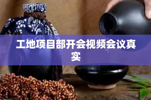 工地项目部开会视频会议真实 工地项目部开会视频会议真实