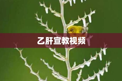 乙肝宣教视频