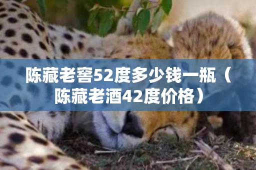 陈藏老窖52度多少钱一瓶（陈藏老酒42度价格）