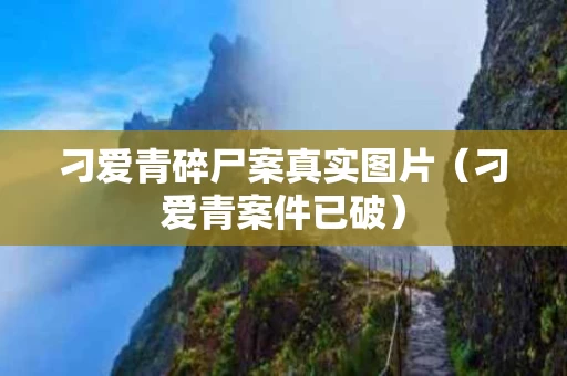 刁爱青碎尸案真实图片（刁爱青案件已破）