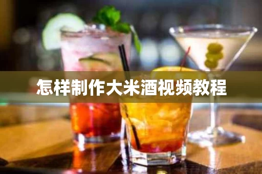 怎样制作大米酒视频教程