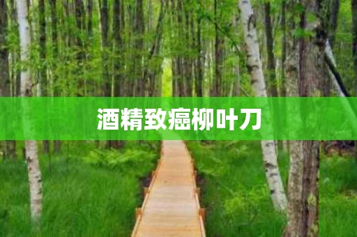 酒精致癌柳叶刀