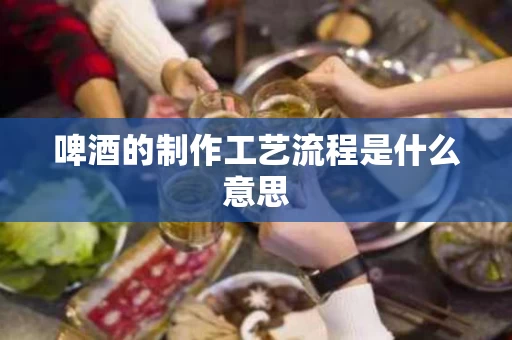 啤酒的制作工艺流程是什么意思