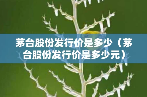 茅台股份发行价是多少（茅台股份发行价是多少元）