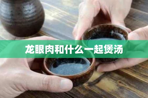 龙眼肉和什么一起煲汤