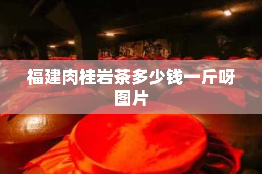 福建肉桂岩茶多少钱一斤呀图片