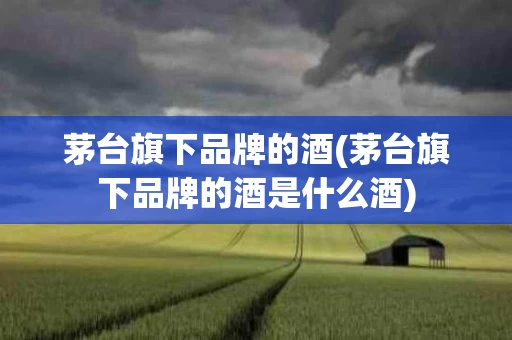 茅台旗下品牌的酒(茅台旗下品牌的酒是什么酒)