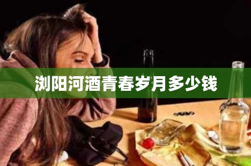浏阳河酒青春岁月多少钱