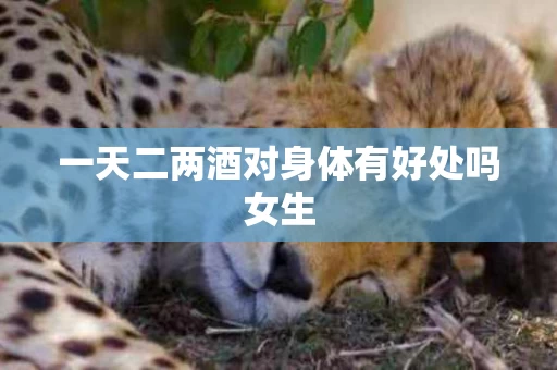 一天二两酒对身体有好处吗女生