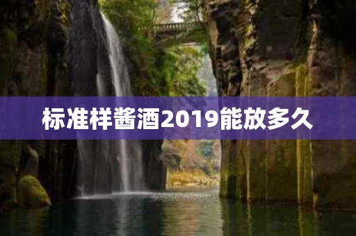 标准样酱酒2019能放多久