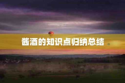 酱酒的知识点归纳总结