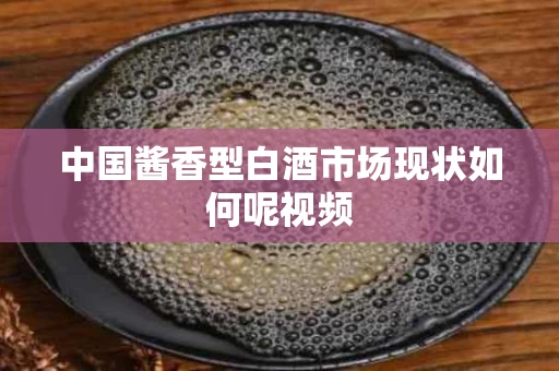 中国酱香型白酒市场现状如何呢视频