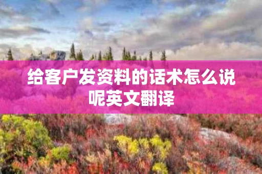 给客户发资料的话术怎么说呢英文翻译