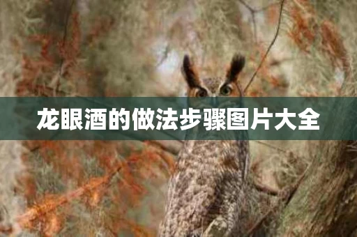 龙眼酒的做法步骤图片大全