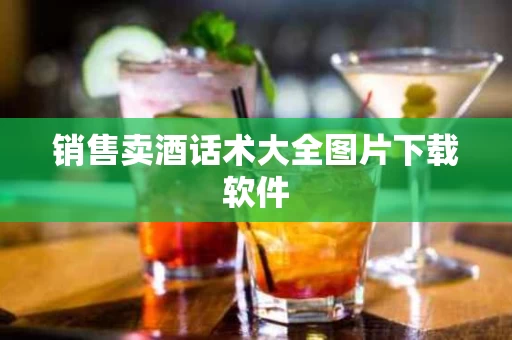 销售卖酒话术大全图片下载软件