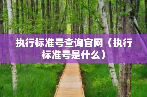 执行标准号查询官网（执行标准号是什么）