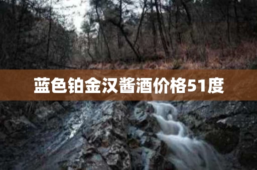 蓝色铂金汉酱酒价格51度
