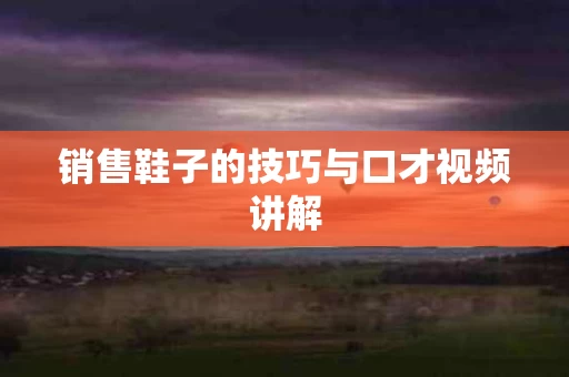 销售鞋子的技巧与口才视频讲解