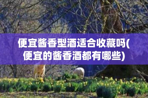 便宜酱香型酒适合收藏吗(便宜的酱香酒都有哪些)