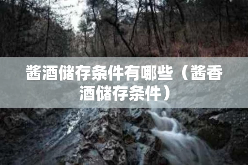 酱酒储存条件有哪些（酱香酒储存条件）