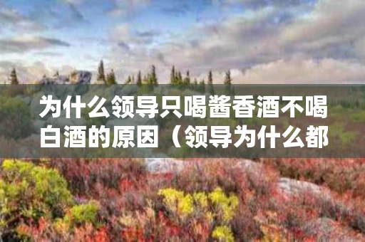 为什么领导只喝酱香酒不喝白酒的原因（领导为什么都能喝酒）