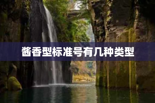 酱香型标准号有几种类型