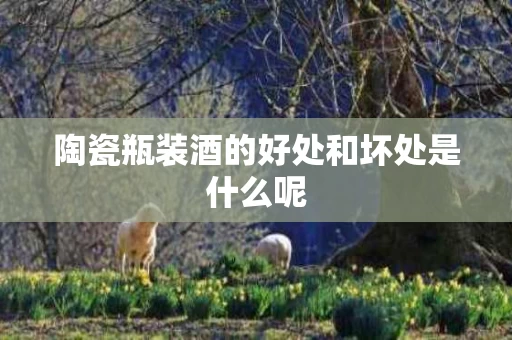 陶瓷瓶装酒的好处和坏处是什么呢
