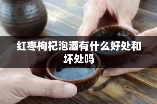 红枣枸杞泡酒有什么好处和坏处吗