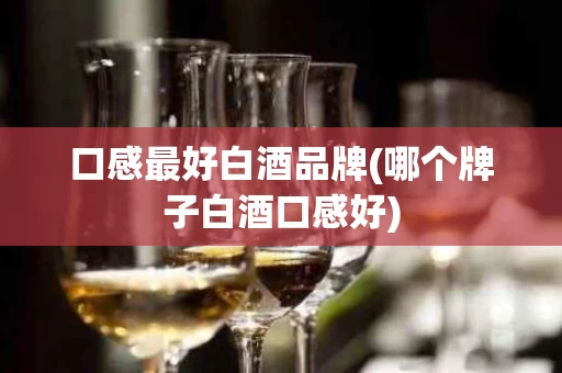 口感最好白酒品牌(哪个牌子白酒口感好)