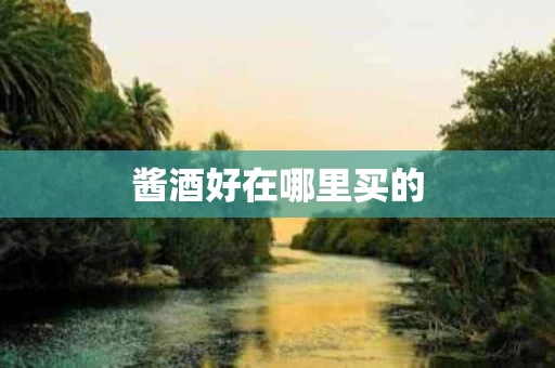 酱酒好在哪里买的
