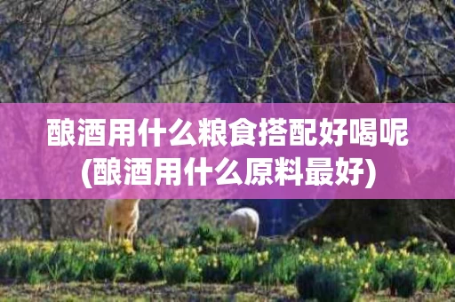 酿酒用什么粮食搭配好喝呢(酿酒用什么原料最好)