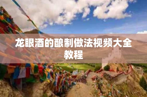 龙眼酒的酿制做法视频大全教程