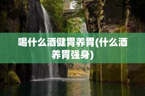 喝什么酒健胃养胃(什么酒养胃强身)