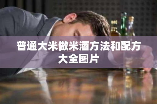 普通大米做米酒方法和配方大全图片