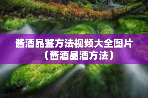 酱酒品鉴方法视频大全图片（酱酒品酒方法）