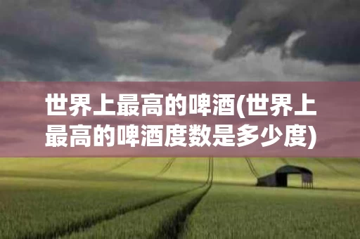 世界上最高的啤酒(世界上最高的啤酒度数是多少度)