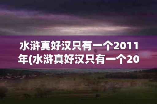 水浒真好汉只有一个2011年(水浒真好汉只有一个2011年的人)