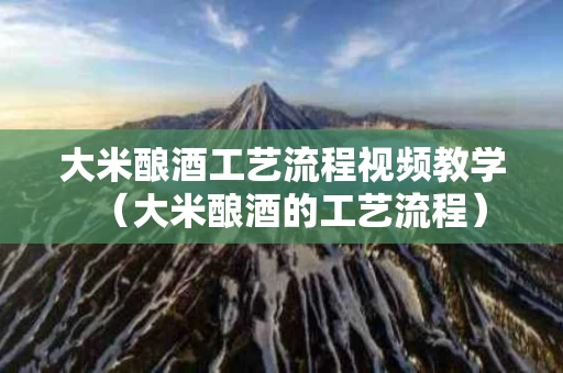 大米酿酒工艺流程视频教学（大米酿酒的工艺流程）