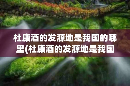 杜康酒的发源地是我国的哪里(杜康酒的发源地是我国的哪里地方)