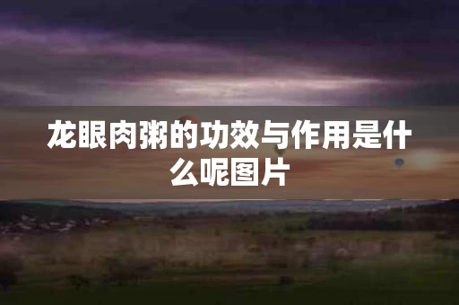 龙眼肉粥的功效与作用是什么呢图片