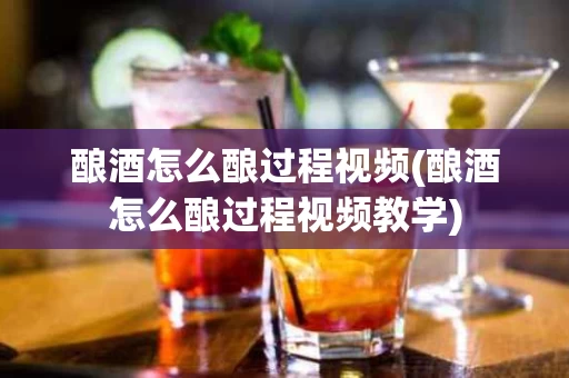 酿酒怎么酿过程视频(酿酒怎么酿过程视频教学)