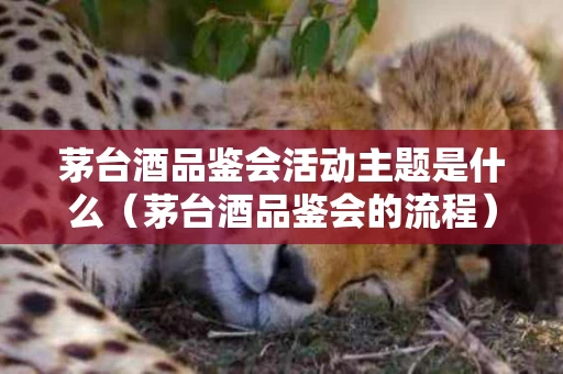 茅台酒品鉴会活动主题是什么（茅台酒品鉴会的流程）