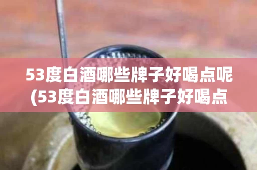 53度白酒哪些牌子好喝点呢(53度白酒哪些牌子好喝点呢图片)